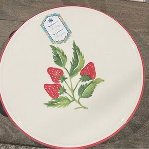 ✨✨ Strawberry Ceramic Pot Holder ✨✨